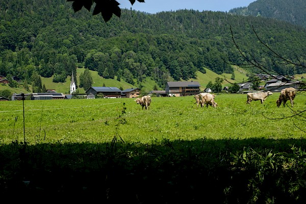 Haus Sonne Bildergallerie