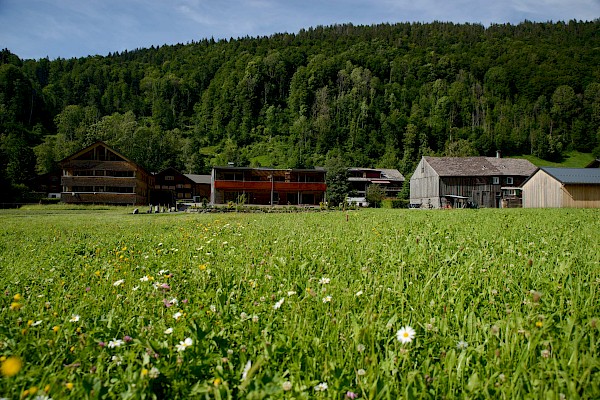 Haus Sonne Bildergallerie